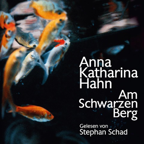 Am schwarzen Berg - Anna Katharina Hahn