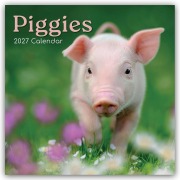 Cover-Bild zum Titel 'Piggies - Ferkel Schweine 2027 - 16-Monatskalender' von 'Gifted Stationery Co. Ltd'