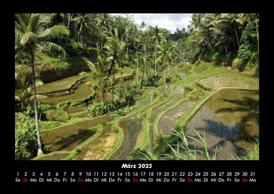 InsideView 7