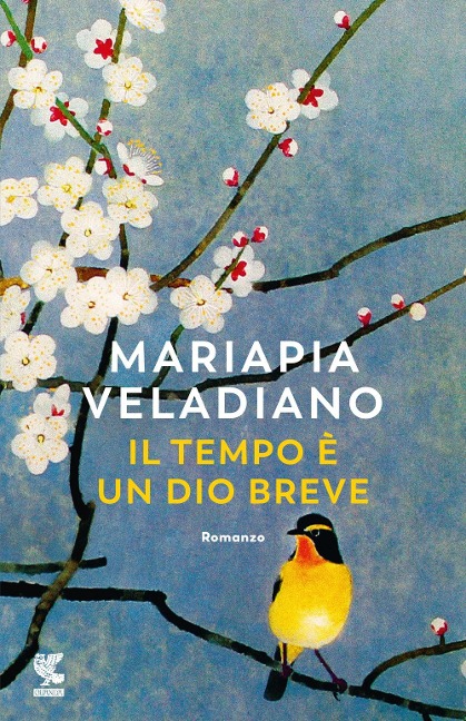 Il tempo è un dio breve - Mariapia Veladiano