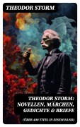 Cover-Bild zum Titel 'Theodor Storm: Novellen, Märchen, Gedichte & Briefe (Über 400 Titel in einem Band)' von 'Theodor Storm'