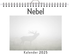 Cover-Bild zum Titel 'Nebel' von 'Alice Werner'