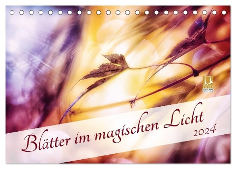 Blätter im magischen Licht (Tischkalender 2024 DIN A5 quer), CALVENDO Monatskalender - Nicc Koch