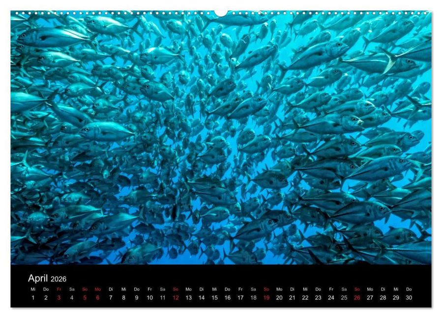 InsideView 9