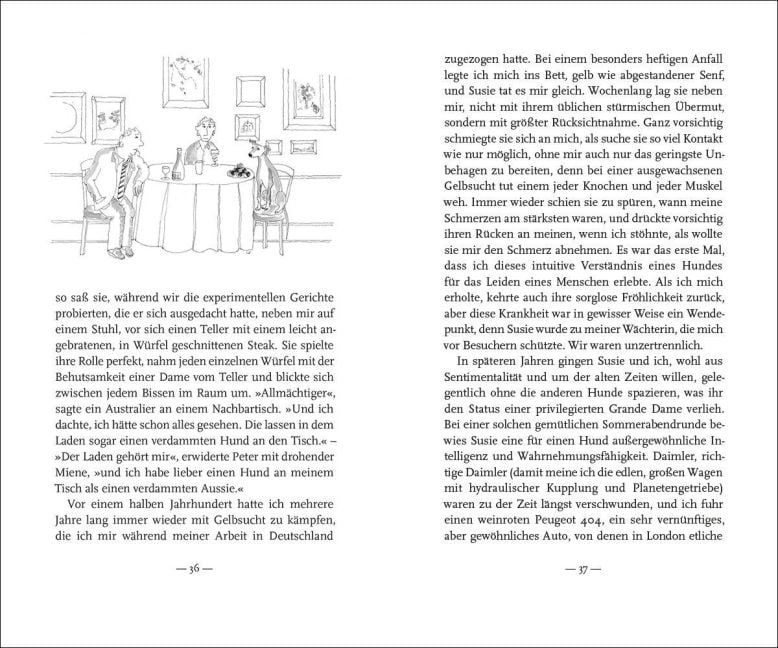 InsideView 3