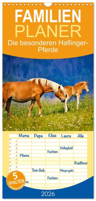 Familienplaner 2026 - Die besonderen Haflinger-Pferde mit 5 Spalten (Wandkalender, 21 x 45 cm) CALVENDO - Torsten Irmer