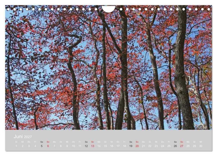InsideView 11