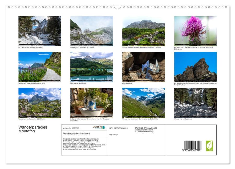 InsideView 4