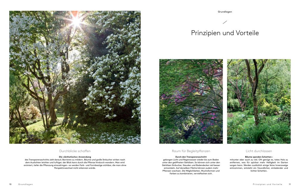 InsideView 3
