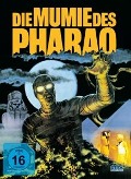 Cover-Bild zum Titel 'Die Mumie des Pharao' von 'Frank Agrama, Daria Price, Ronald Dobrin, Shuki Levy'
