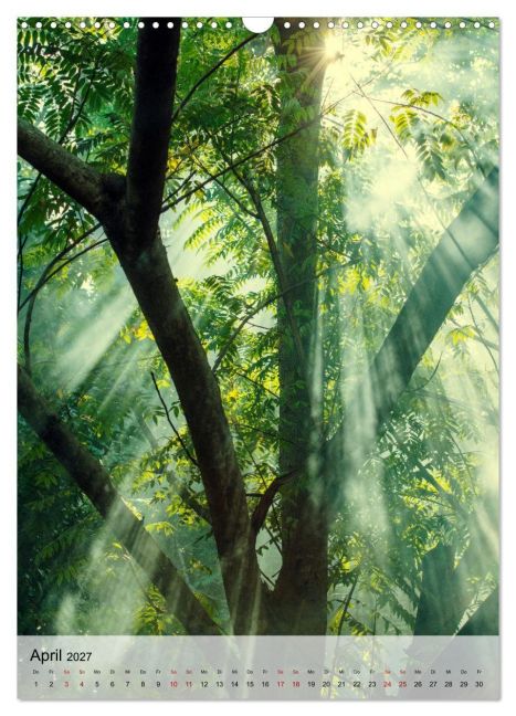 InsideView 9