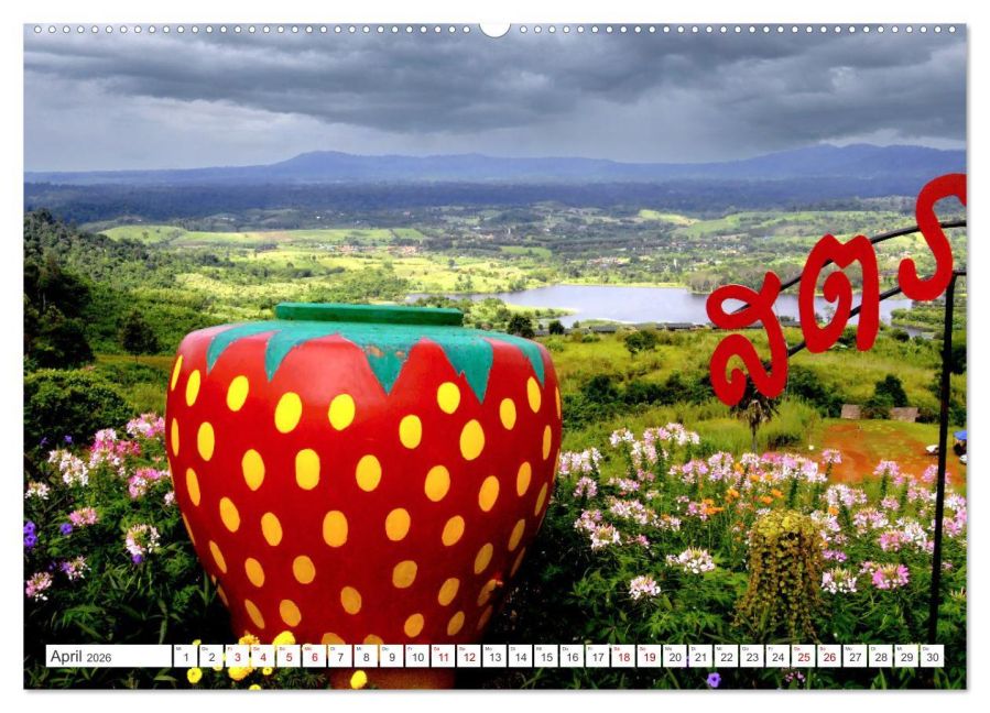 InsideView 8