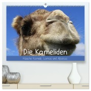 Die Kameliden. Hübsche Kamele, Lamas und Alpakas (hochwertiger Premium Wandkalender 2026 DIN A2 quer), Kunstdruck in Hochglanz - Elisabeth Stanzer