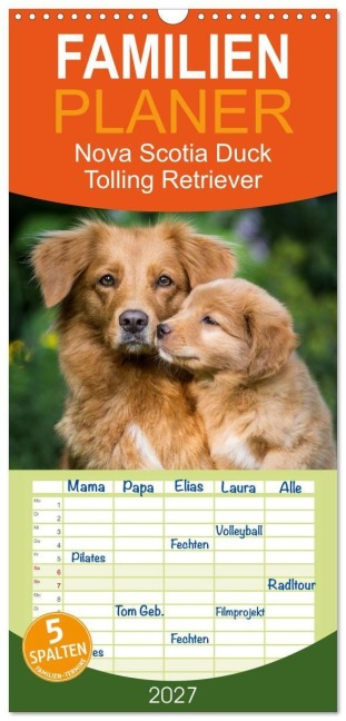 Familienplaner 2027 - Toller - Nova Scotia Duck Tolling Retriever mit 5 Spalten (Wandkalender, 21 x 45 cm) CALVENDO - Anna Auerbach