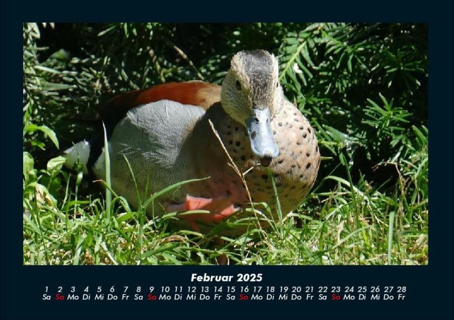 InsideView 6