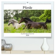 Cover-Bild zum Titel 'Pferde, das größte Glück auf dieser Erde (hochwertiger Premium Wandkalender 2026 DIN A2 quer), Kunstdruck in Hochglanz' von 'Elke Laage'