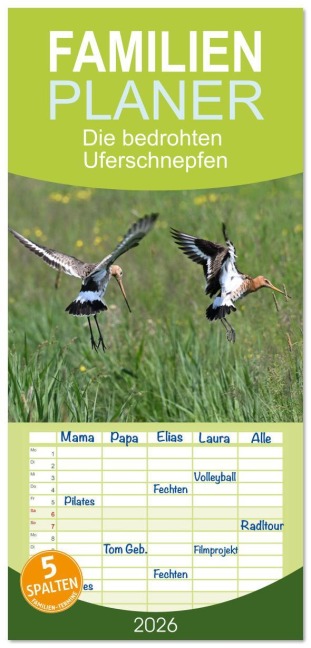 Familienplaner 2026 - Die bedrohten Uferschnepfen mit 5 Spalten (Wandkalender, 21 x 45 cm) CALVENDO - Karsten Jordan