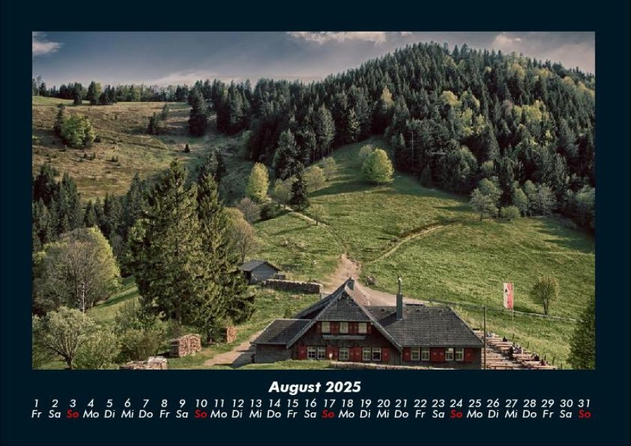 InsideView 12