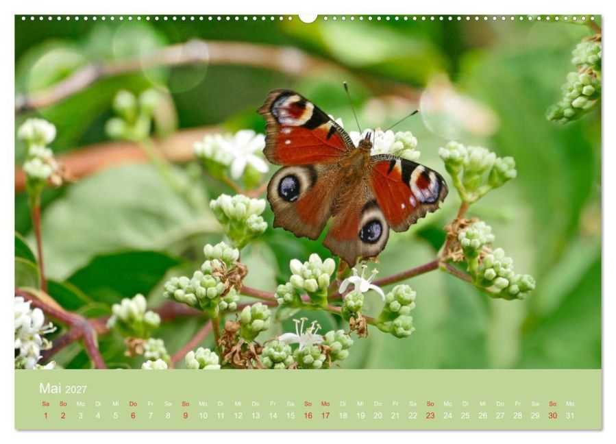 InsideView 10