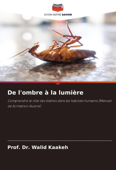 De l'ombre à la lumière - Walid Kaakeh