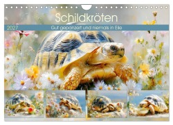 Cover-Bild zum Titel 'Schildkröten. Gut gepanzert und niemals in Eile (Wandkalender 2027 DIN A4 quer), CALVENDO Monatskalender' von 'Rose Hurley'