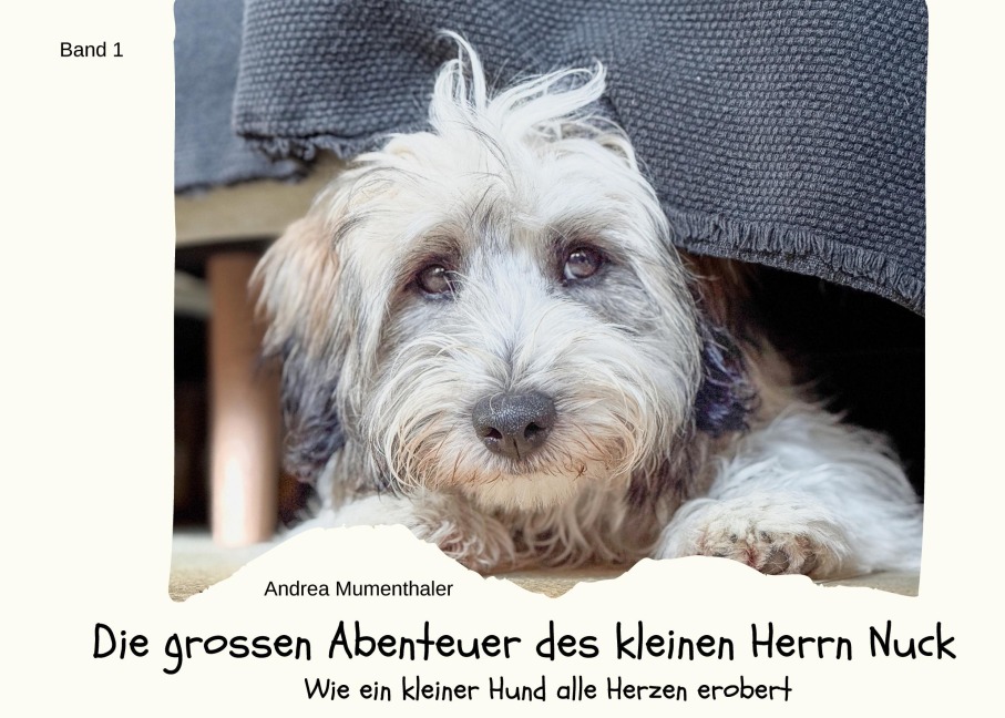 Die grossen Abenteuer des kleinen Herrn Nuck - Andrea Mumenthaler