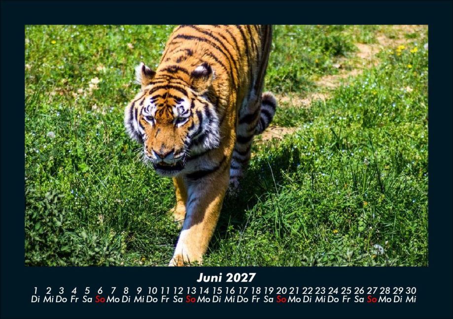 InsideView 10