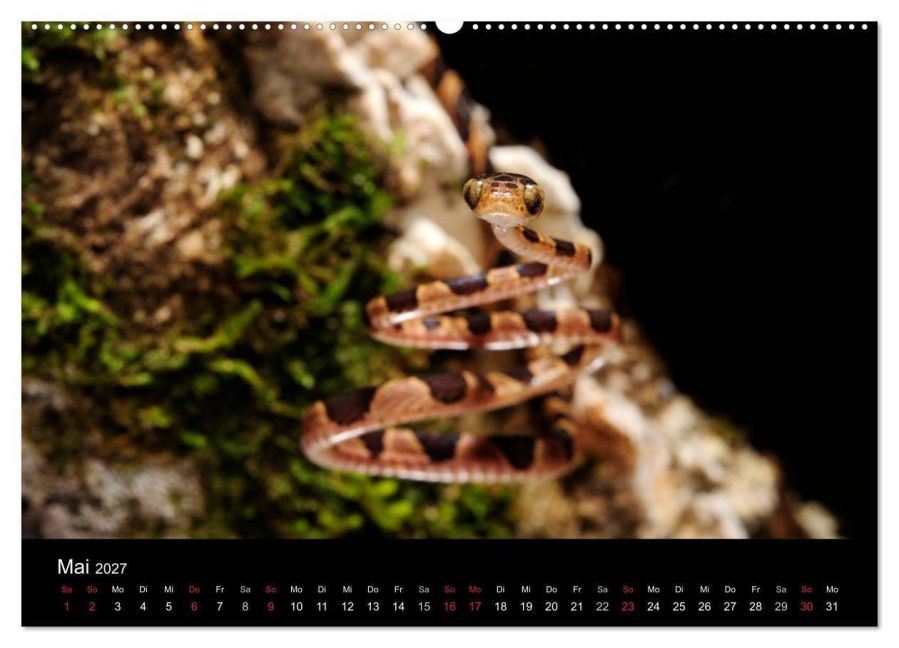 InsideView 10