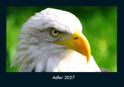 Cover-Bild zum Titel 'Adler 2027 Fotokalender DIN A4' von 'Tobias Schmitt, Kevin Heber'