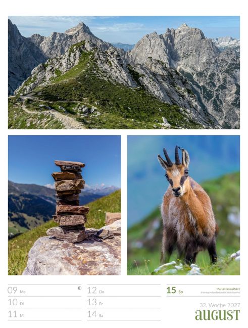 InsideView 36