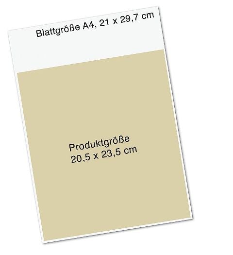 InsideView 12