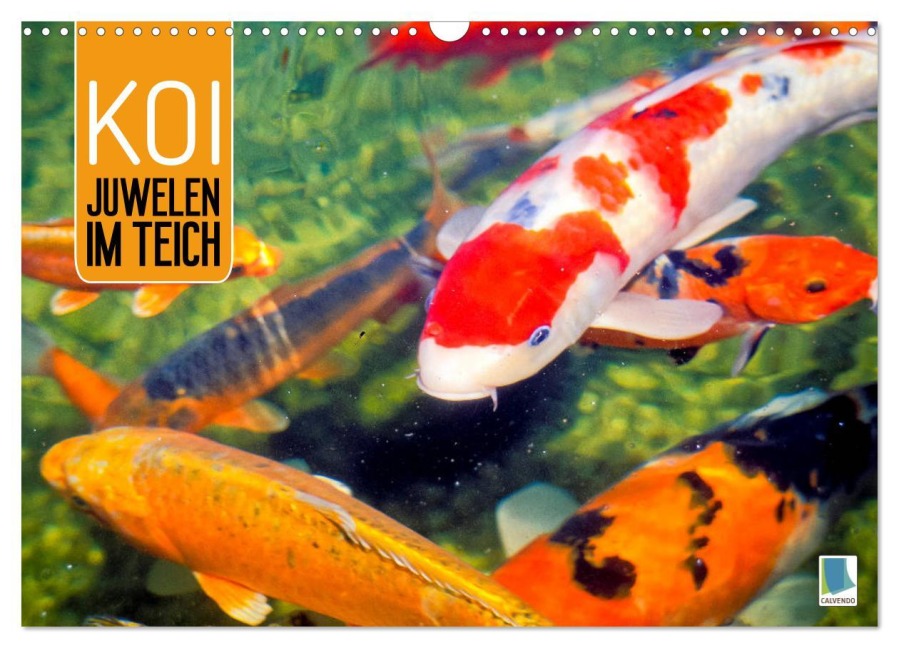 Koi: Juwelen im Teich (Wandkalender 2026 DIN A3 quer), CALVENDO Monatskalender - Calvendo Calvendo