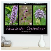 Heimische Orchideen im Dreierpack (hochwertiger Premium Wandkalender 2026 DIN A2 quer), Kunstdruck in Hochglanz - Sabine Löwer