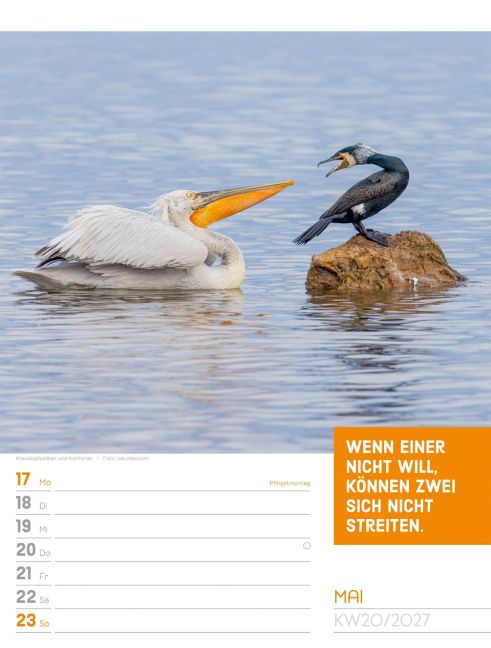 InsideView 24