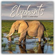 Cover-Bild zum Titel 'Elephants - Elefanten 2027 - 16-Monatskalender' von 'The Gifted'