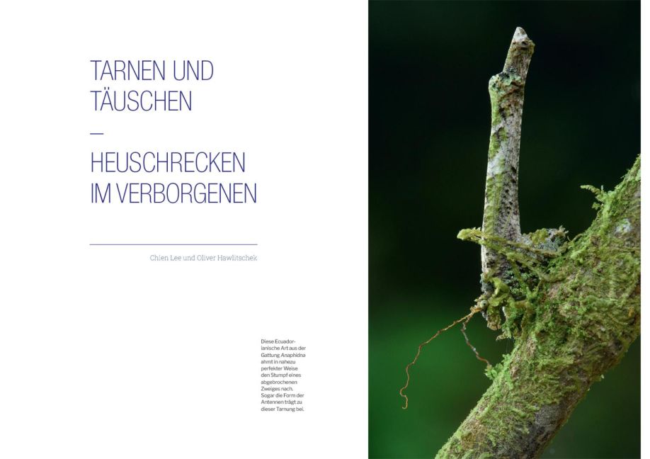 InsideView 2