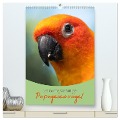 Die bunte Vielfalt der Papageienvögel (hochwertiger Premium Wandkalender 2025 DIN A2 hoch), Kunstdruck in Hochglanz - Christina Williger