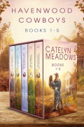 Cover-Bild zum Titel 'Havenwood Cowboys Romance Series' von 'Catelyn Meadows'