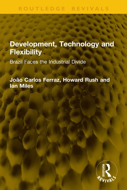 Development, Technology and Flexibility - João Carlos Ferraz, Ian Miles, Howard Rush