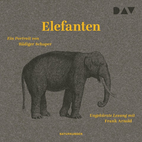 Elefanten. Ein Portrait - Rüdiger Schaper