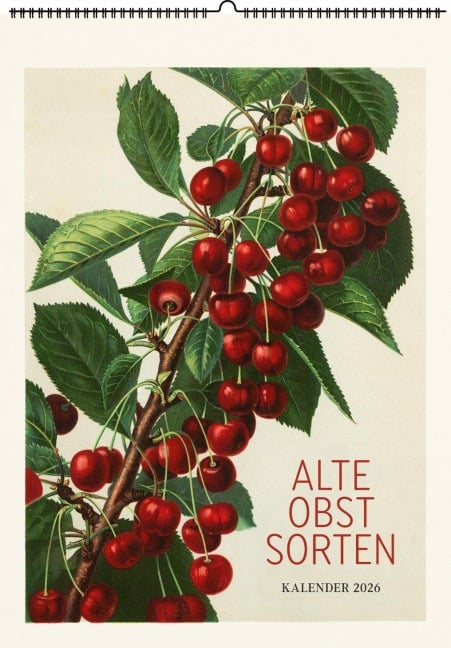 Alte Obstsorten. Wandkalender 2026 - 