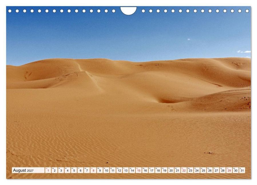 InsideView 13