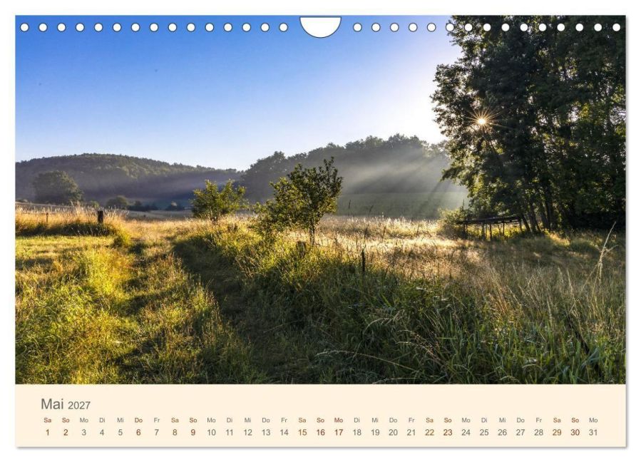 InsideView 10