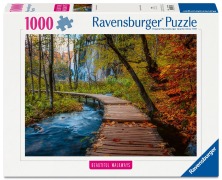 Cover-Bild zum Titel 'Erwachsenenpuzzle 1000 Teile - Herbstlicher Waldweg' von ''