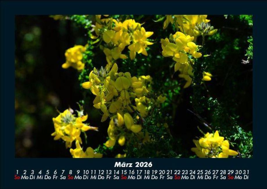 InsideView 7