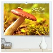 Cover-Bild zum Titel 'Pilze und Pilzgerichte (hochwertiger Premium Wandkalender 2026 DIN A2 quer), Kunstdruck in Hochglanz' von 'Elisabeth Stanzer'