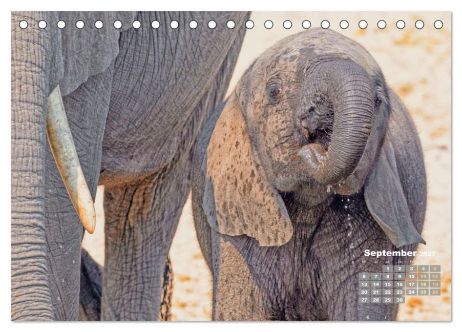 InsideView 14