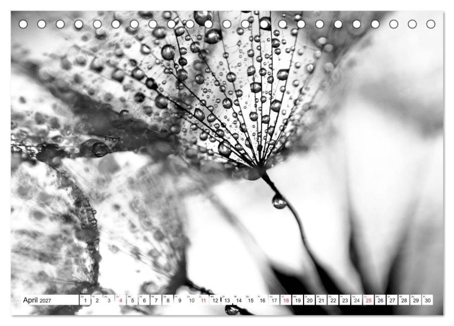 InsideView 9