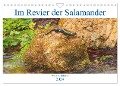 Im Revier der Salamander (Wandkalender 2024 DIN A4 quer), CALVENDO Monatskalender - Winfried Erlwein