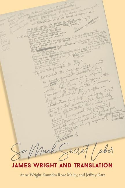 So Much Secret Labor - Anne Wright, Saundra Rose Maley, Jeffrey Katz